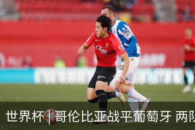 世界杯 | 哥伦比亚战平葡萄牙 两队携手晋级32强