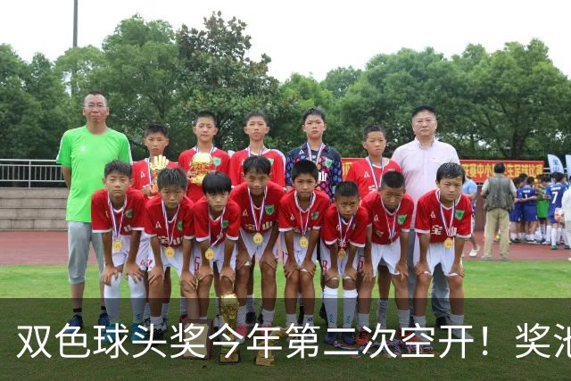 双色球头奖今年第二次空开！奖池上升至4.8亿