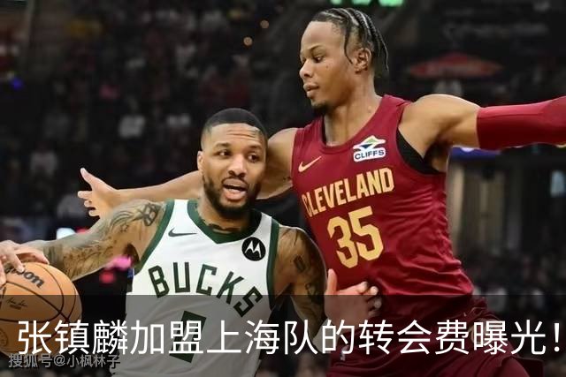 张镇麟加盟上海队的转会费曝光！
